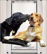 An electronic dog door or automatic dog door both have their limitations, other doggy doors have special features that you'll love..